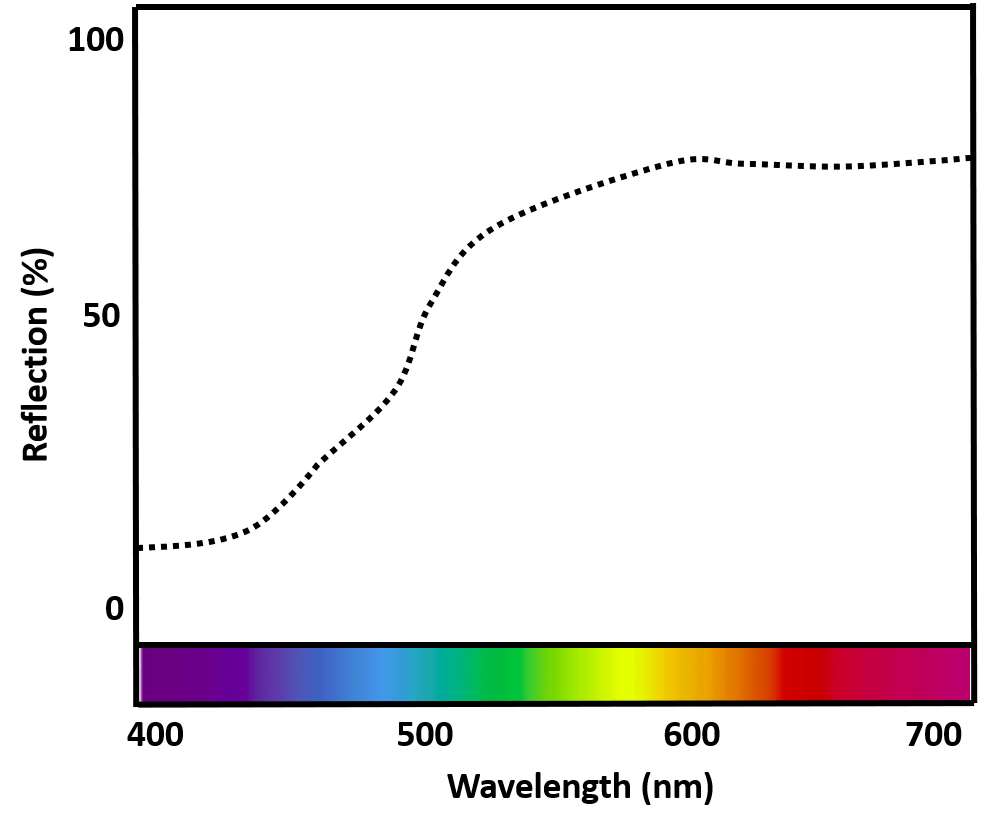 Example of a remission curve obtained from photospectrometric color measurement